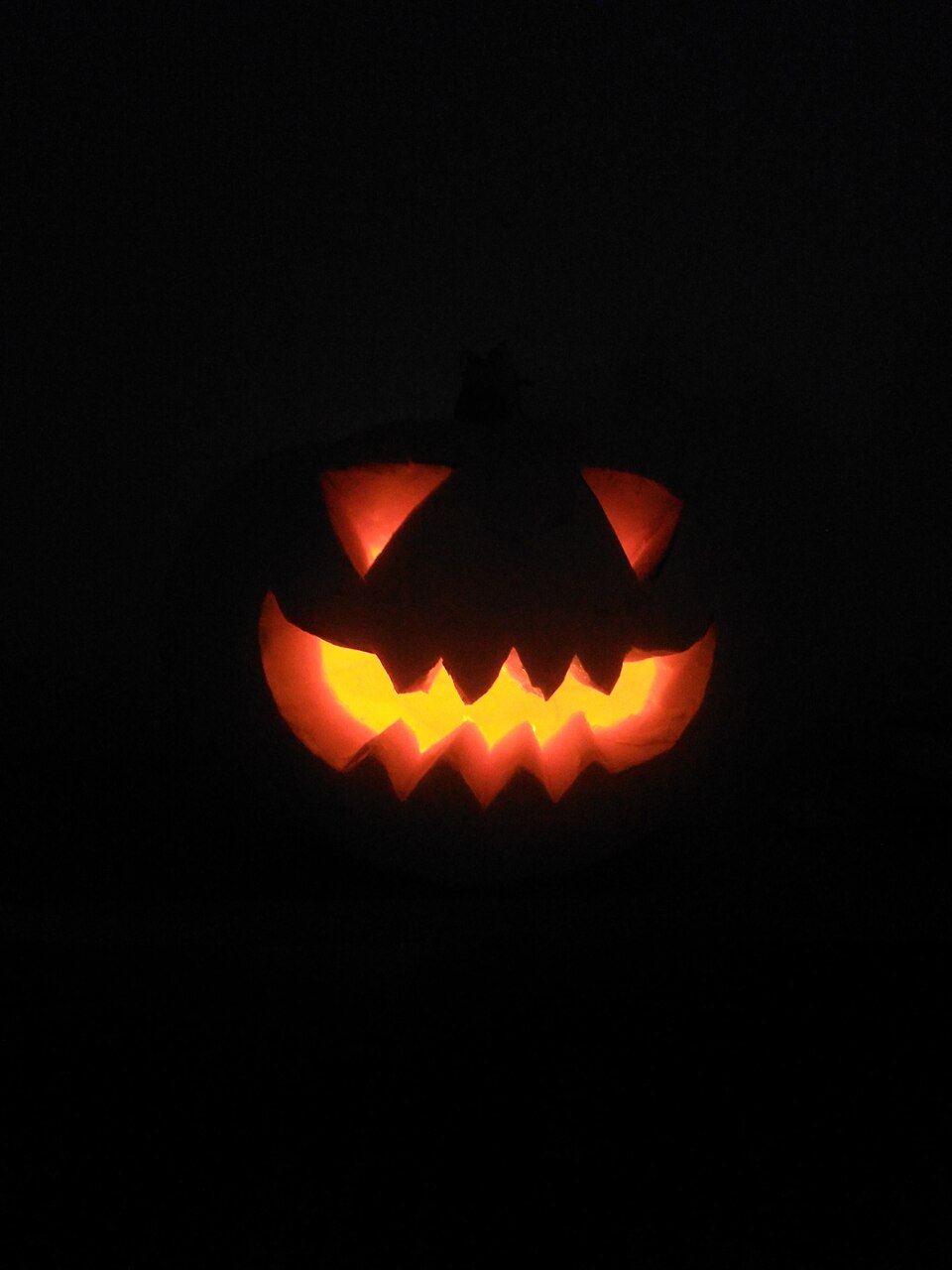 A glowing jack-o-lantern in the dark surrounded by autumn leaves